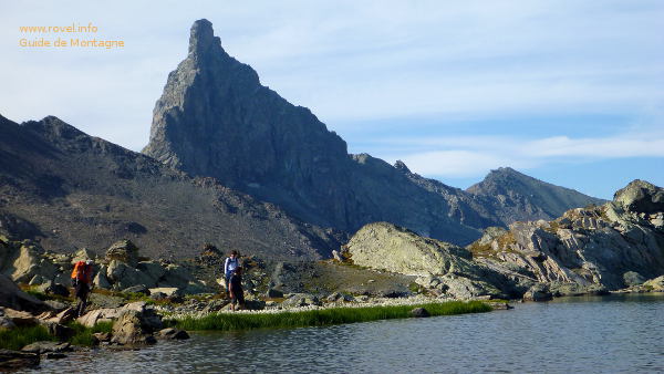 la face de la tête des Toillies la face de la tête des Toillies