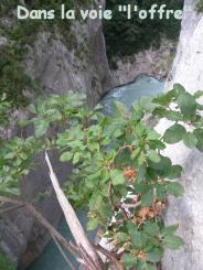Dans l'Offre au Verdon Dans l'Offre au Verdon