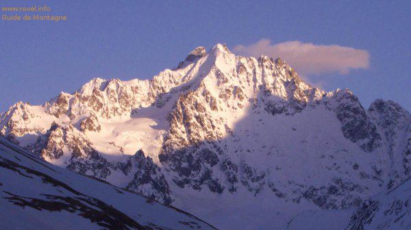 Agneaux blanc à droite et Agneaux Noir juste à gauche Agneaux blanc à droite et Agneaux Noir juste à gauche